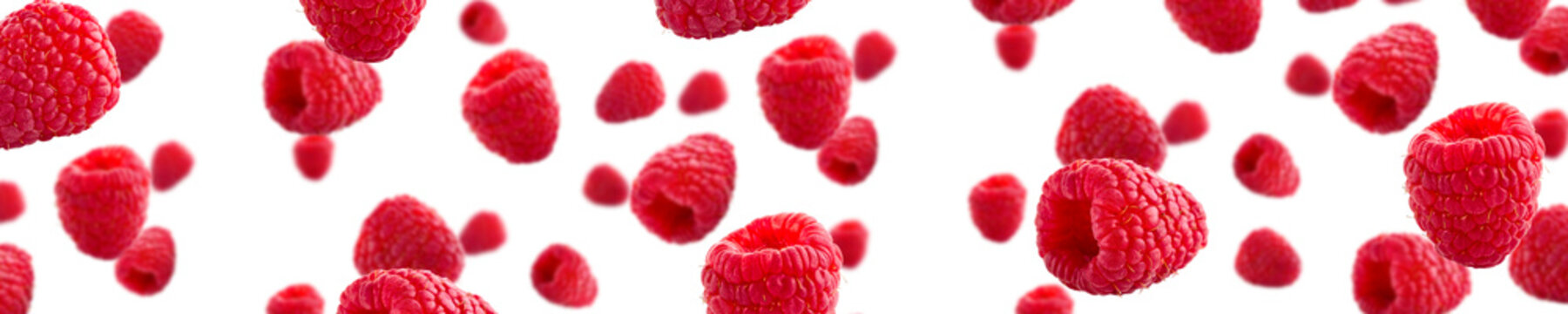 Raspberries abstract background. Fruit pattern of colorful wild berries isolated on white background. Raspberries, blackberry and brumble. Top view. Flat lay banner