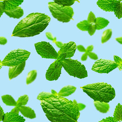 Seamless pattern of fresh mint leaves on blue background for packaging design. peppermint abstract background.