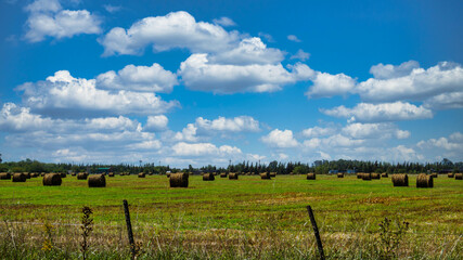Fototapeta na wymiar countryside landscape on a warm summer afternoon
