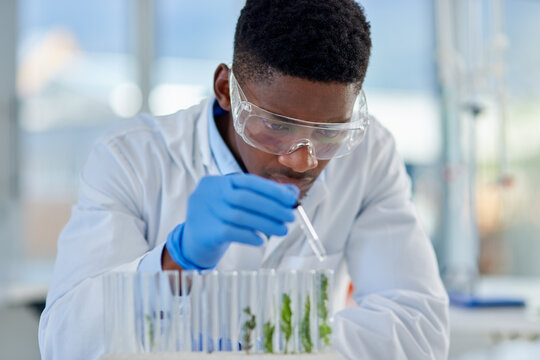 Finally the last sample is ready. Cropped shot of a focused young male scientist giving water to a plant inside of a laboratory during the day.