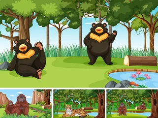 Scene with wild animals in the forest © blueringmedia