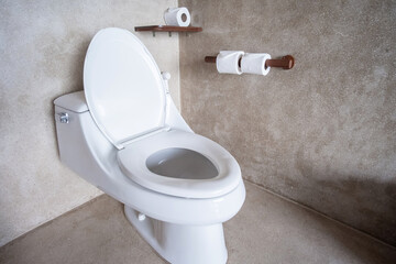 New ceramic toilet bowl and toilet paper. Cleaning, WC, Lifestyle and personal hygiene concept
