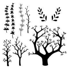 Colección elementos naturales en blanco y negro. Ilustraciones para diseño web de árbol, ramas, hojas, flores y frutos. 