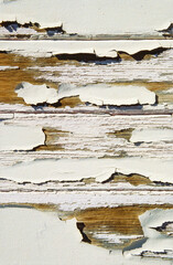 Close-up detail of cracked and peeling white paint on timber