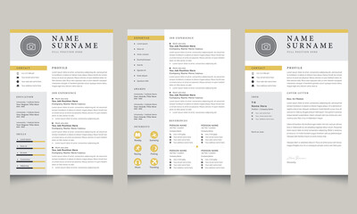 Professional CV, Resume Template and Cover Letter Layout Set Gray Accents
