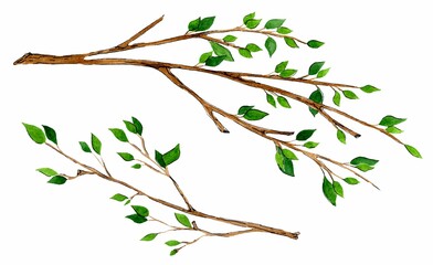 Hand drawn tree branches. Watercolor sketch greenery. Botanical illustrations. Floral set design for wedding cards and invitations, mothers day and birthday card. Isolated on white background