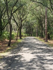 alley in the park