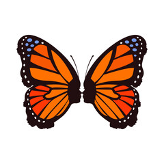 girl face butterfly