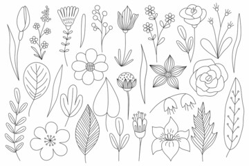 Line Art Flower Set