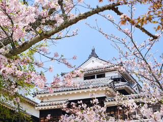 春の松山城の天守閣を下から見上げる