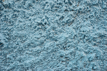 The surface is rough, grayish-green.