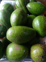Pile Of Giant Avocado (Aligator Avocado)