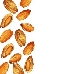 手描き水彩の殻付きアーモンドイラスト正方形フレーム・左