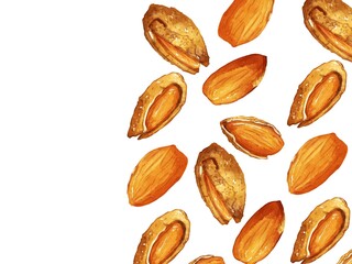 手描き水彩の殻付きアーモンドイラスト長方形フレーム・右