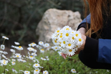 girl with daisies