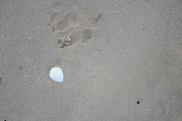 Foot print on the sandy beach, Summer Holidays by the Beach