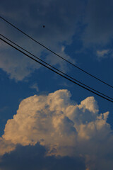 Fototapeta premium clouds in the sky