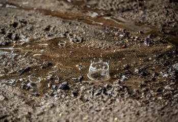 raindrops fall on brown sand and create magical shapes 