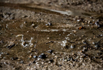 raindrops fall on brown sand and create magical shapes 