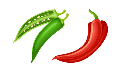Red and green fresh chili pepper. Healthy spicy vegetables set vector illustration