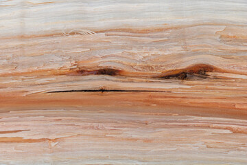 Naklejka premium Closeup of split wood texture - perfect for background