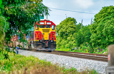 Colorful yellow and red train speeds up on the railway through the forest.
