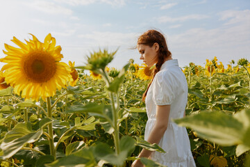 woman with two pigtails looking in the sunflower field landscape