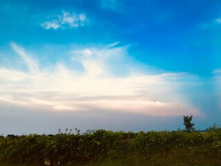 sunset over the field