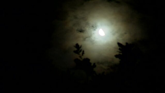 Night sky moon 