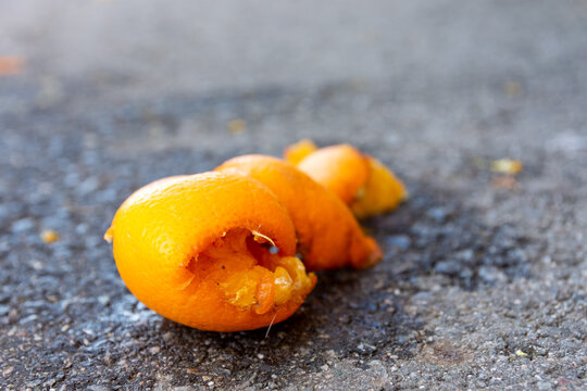 a trampled orange on the street