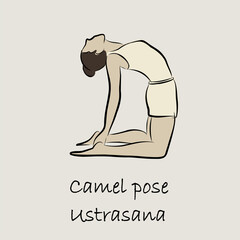 Yoga, sports, gymnastics. Human body health. Healthy lifestyle. Asanas for Vishuddha Chakra. Cobra pose, plank, camel pose, boat pose. Isolated vector objects. 