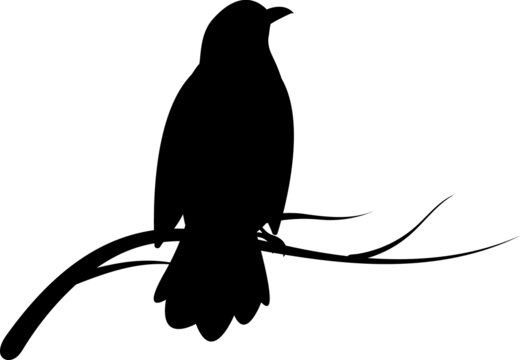 recommend clip art: Birds On Branch Illustrations Birds On Branch SVG EPS PNG