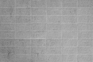 The horizontal gray cement block wall texture and background are very elegant.