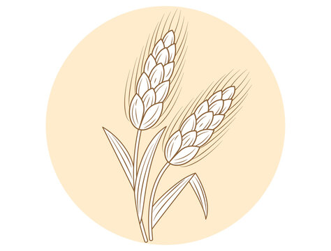 小麦をイメージしたイラスト