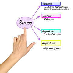 Presenting four kinds of stress