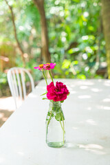 beautiful rose flower in vase decorated on table