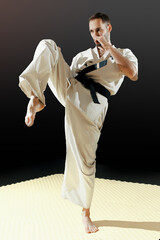 one man martial arts karate trainers banner in fighting stance