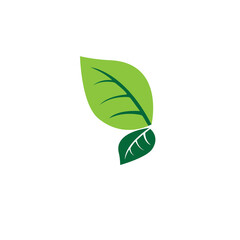 Logos of green Tree leaf ecology