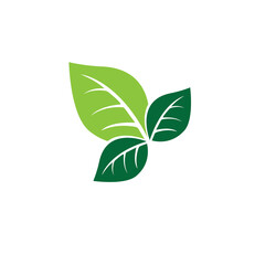 Logos of green Tree leaf ecology