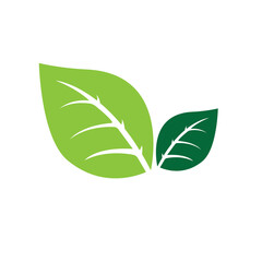 Logos of green Tree leaf ecology