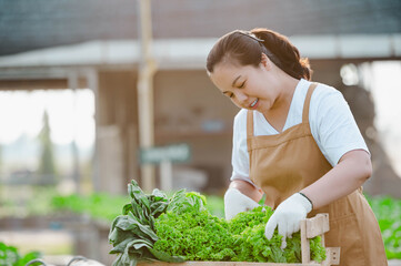 Obraz premium Farmer woman holding wooden box full of fresh raw vegetables