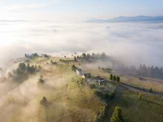 Fog envelops the mountain forest. The rays of the rising sun break through the fog. Aerial drone view.