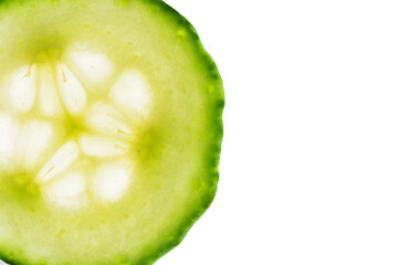 Slice of cucumber isolated on white background. Fresh slice of cucumber for design with copy space.