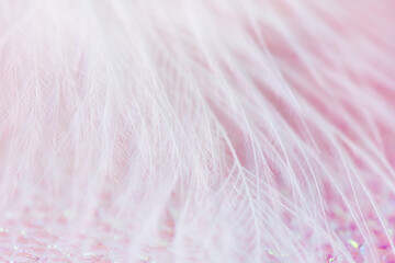 Obraz premium White bird feather over pink background close-up. Soft, lightweight feather wallpaper.