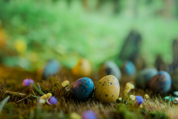 Easter colored eggs on green grass with blurred background