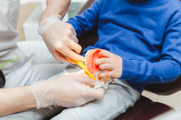 a male dentist shows a boy on a denture how to properly brush his teeth. the concept of children's...