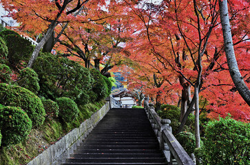Fototapeta na wymiar A stone staircase among colorful maple trees in a park in Japan.