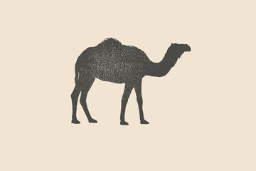 Silhouette of a humped camel is drawn with a stamp effect. Animal. Vintage emblem. Design element for shop, market, packaging, labels, and logo. Vector illustration. - obrazy, fototapety, plakaty
