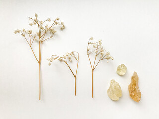 Set of natural resins and twigs of dried flowers , frankincense close-up on a white background	