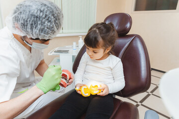 a male dentist shows a girl on a denture how to brush her teeth properly. the concept of children's...